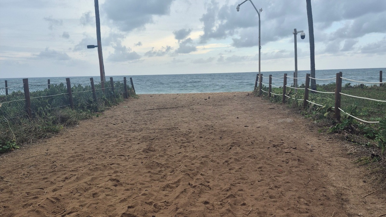 Photo of Others in Porto de Galinhas