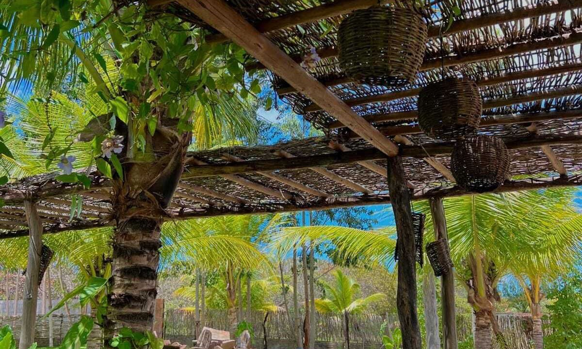 Photo of Outdoor in Acarau