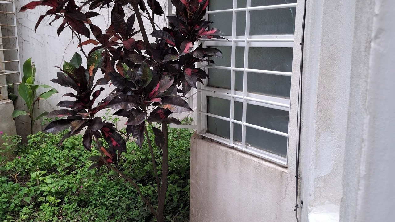 Photo of Outdoor in Centro