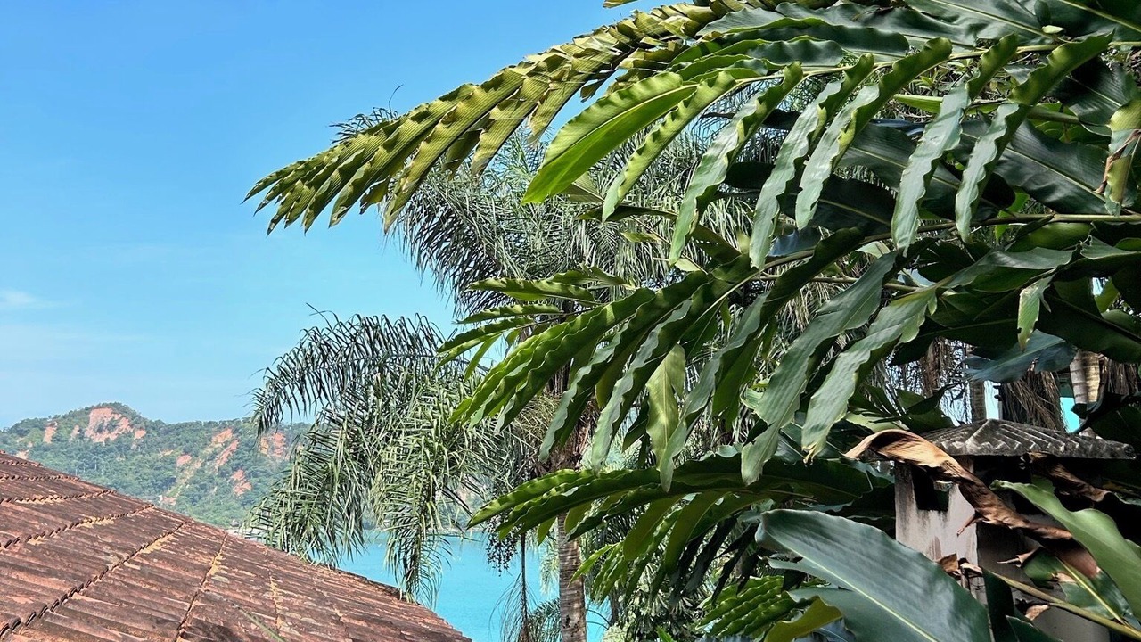Photo of Outdoor in Barra do Sahy