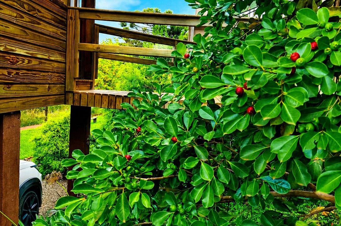 Photo of Outdoor in Bom Jardim da Serra