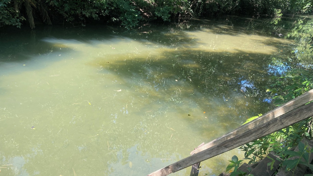 Photo of Others in Bodoquena