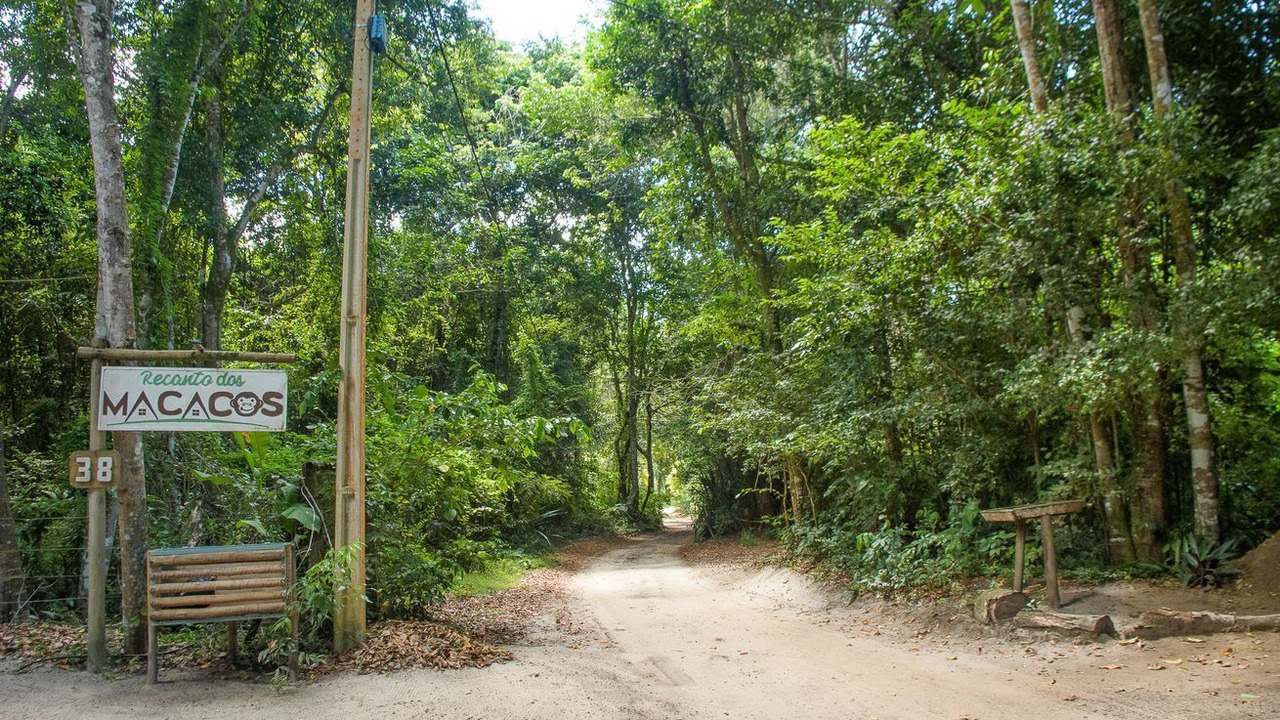 Photo of Others in Cumuruxatiba