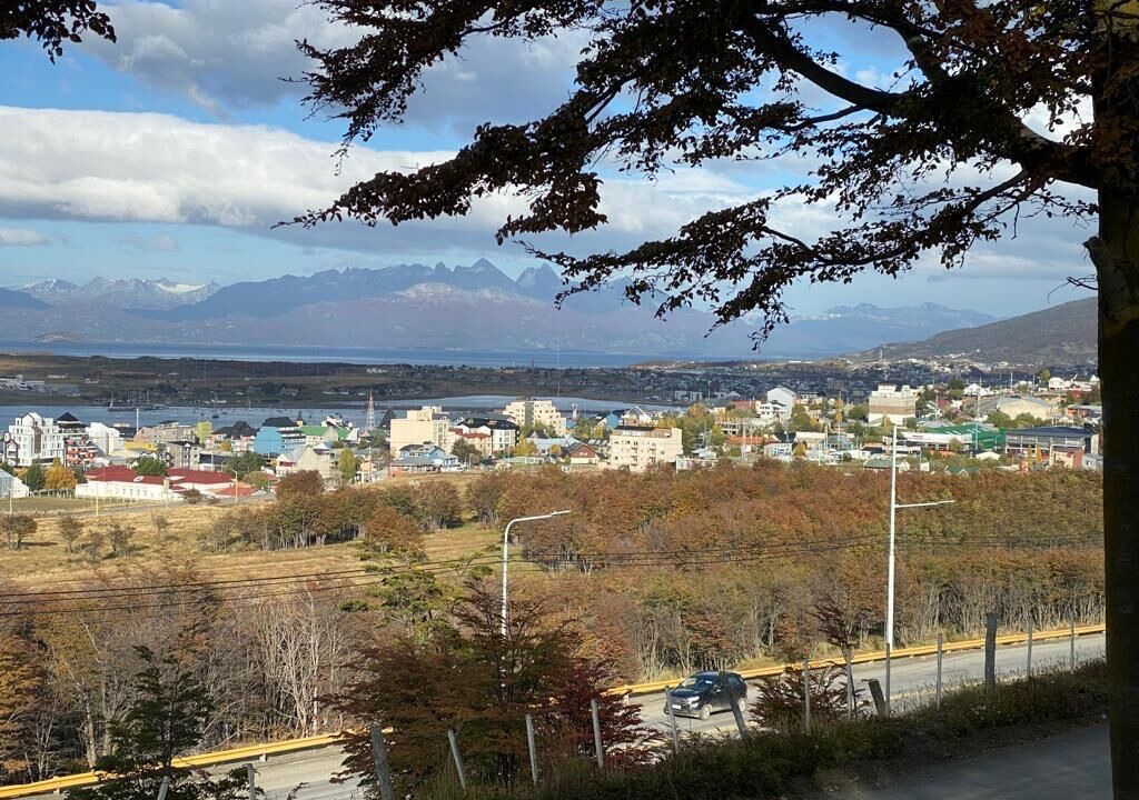 Photo of Others in Province of Tierra del Fuego
