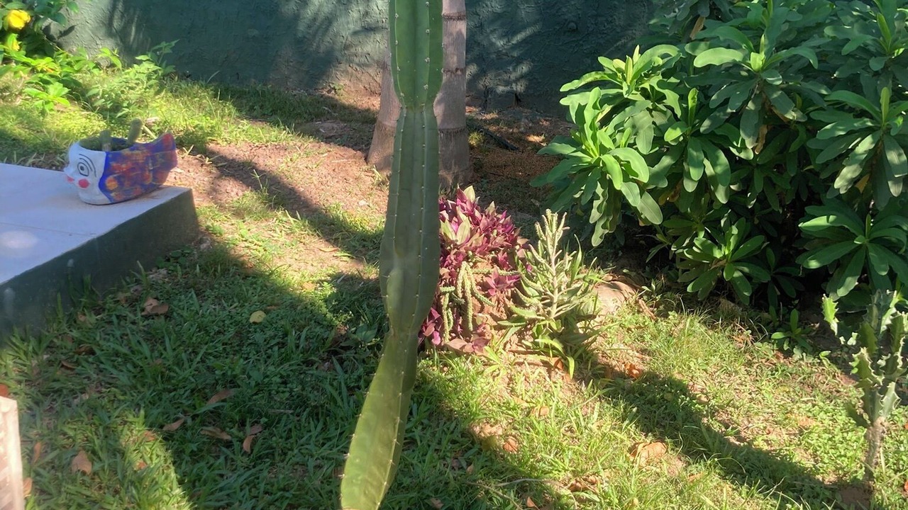 Photo of Outdoor in Paso de la Patria
