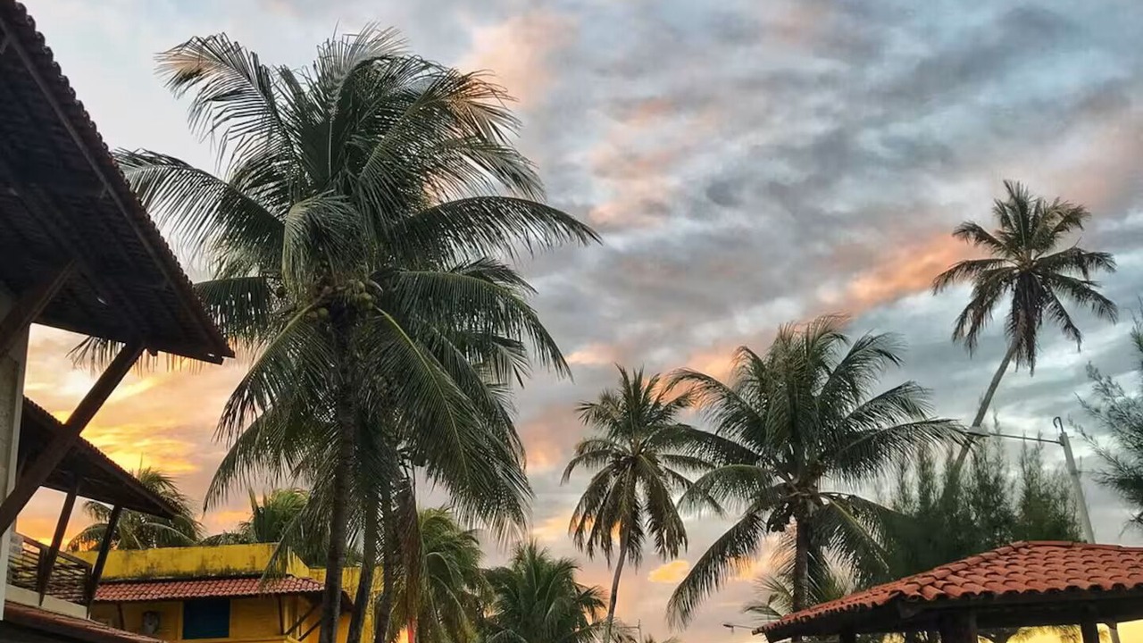 Photo of Outdoor in Pitimbu