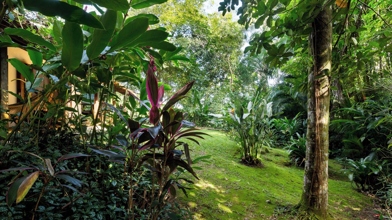 Photo of Outdoor in Barra do Sahy