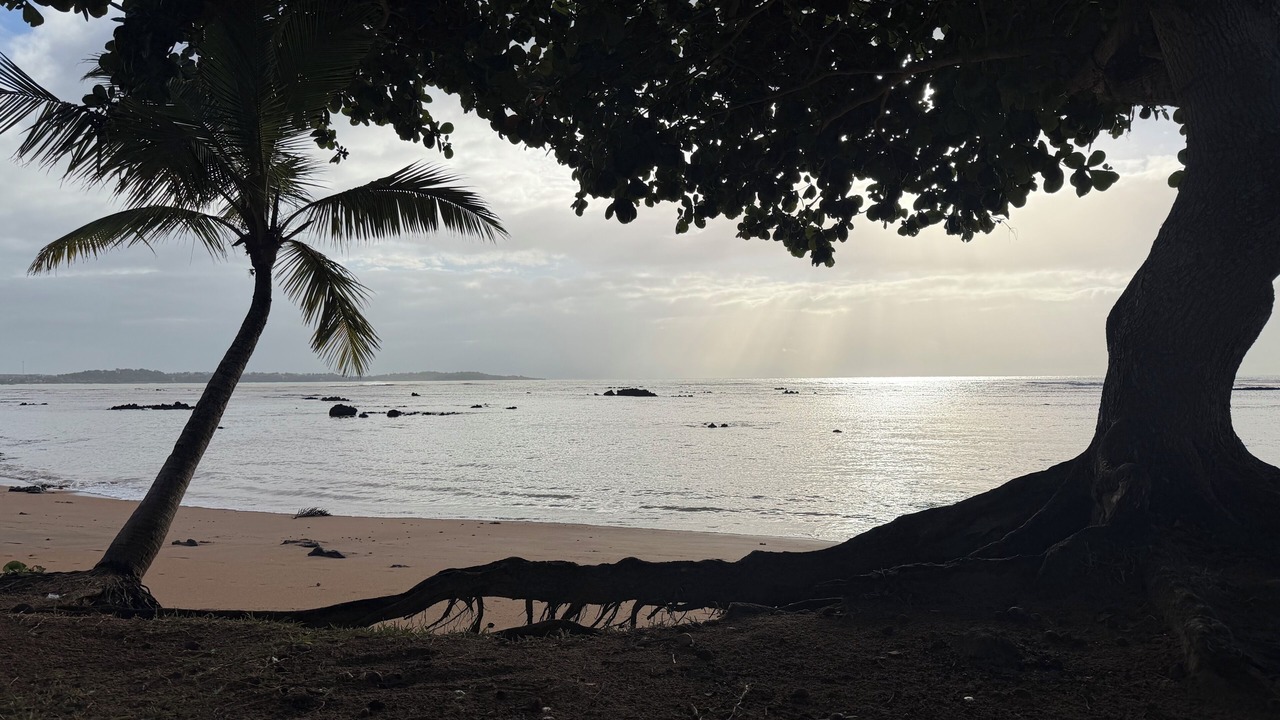 Photo of Others in Boa Vista