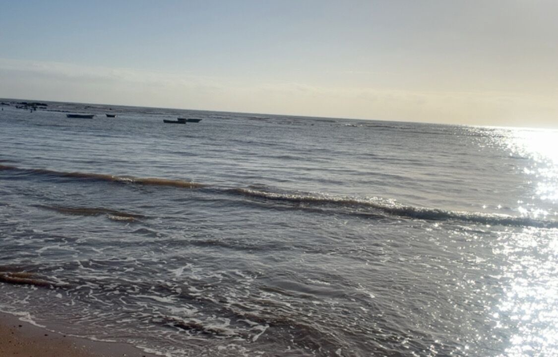 Photo of Others in Boa Vista