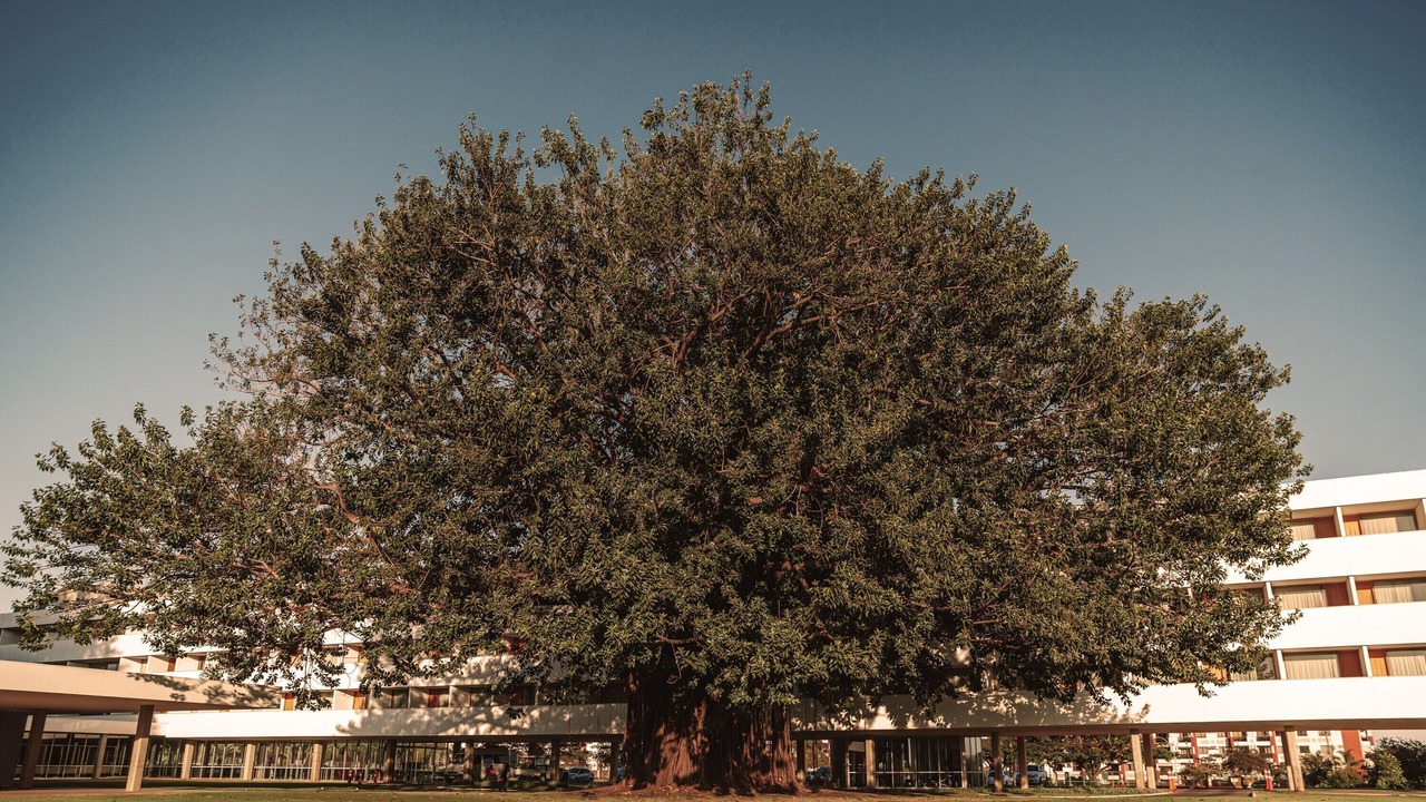 Photo of Outdoor in Brasilia