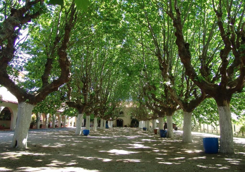 Photo of Outdoor in Cassino