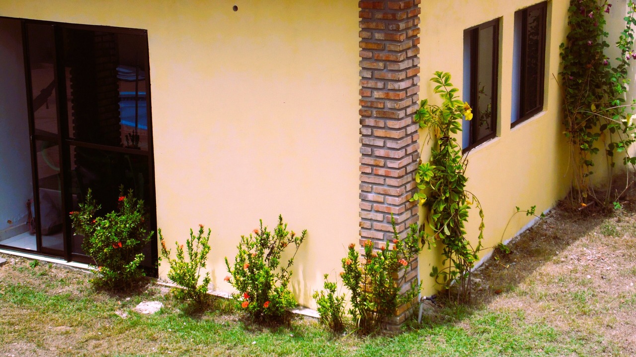 Photo of Outdoor in Japaratinga