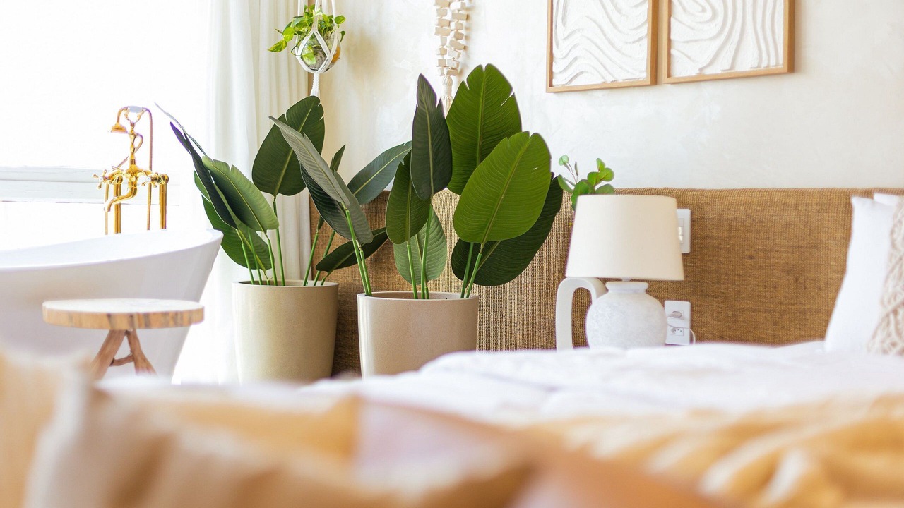 Photo of Bedroom in Central Zone