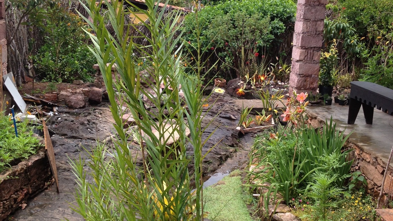 Photo of Outdoor in Igatu