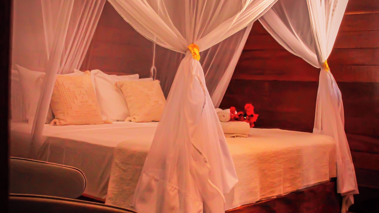 Photo of Bedroom in Corguinho