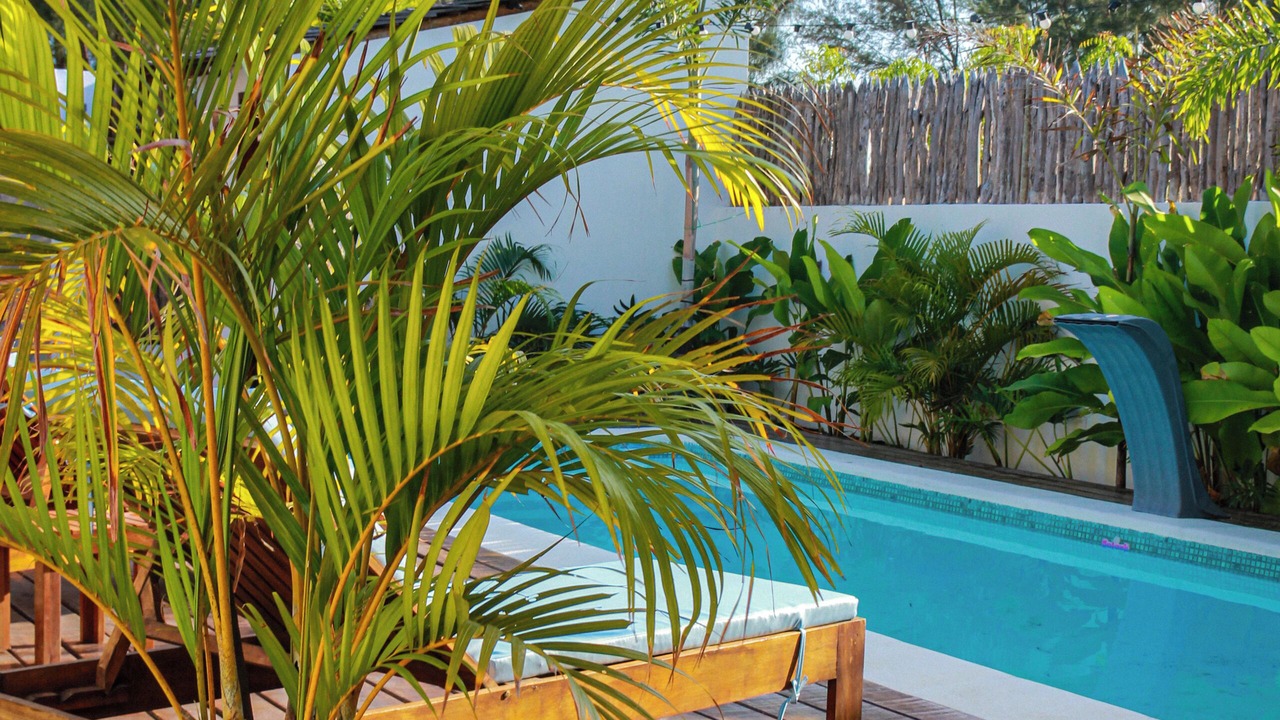 Photo of Outdoor in Corguinho