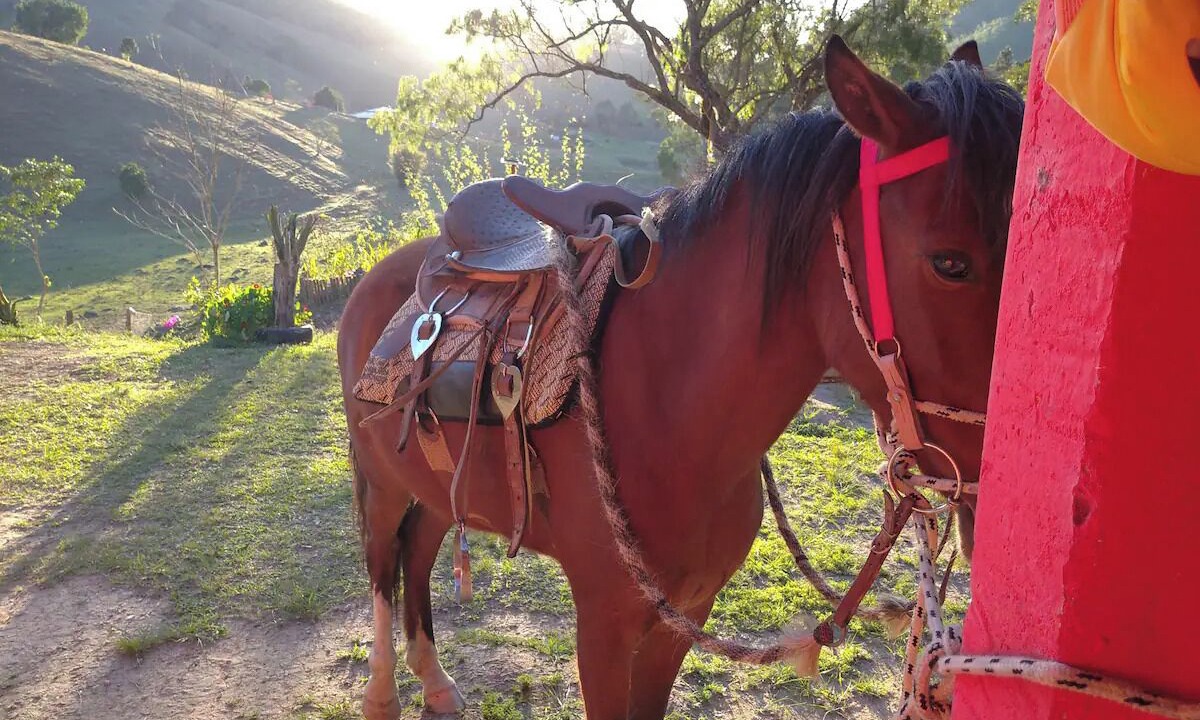Photo of Outdoor in Natividade da Serra