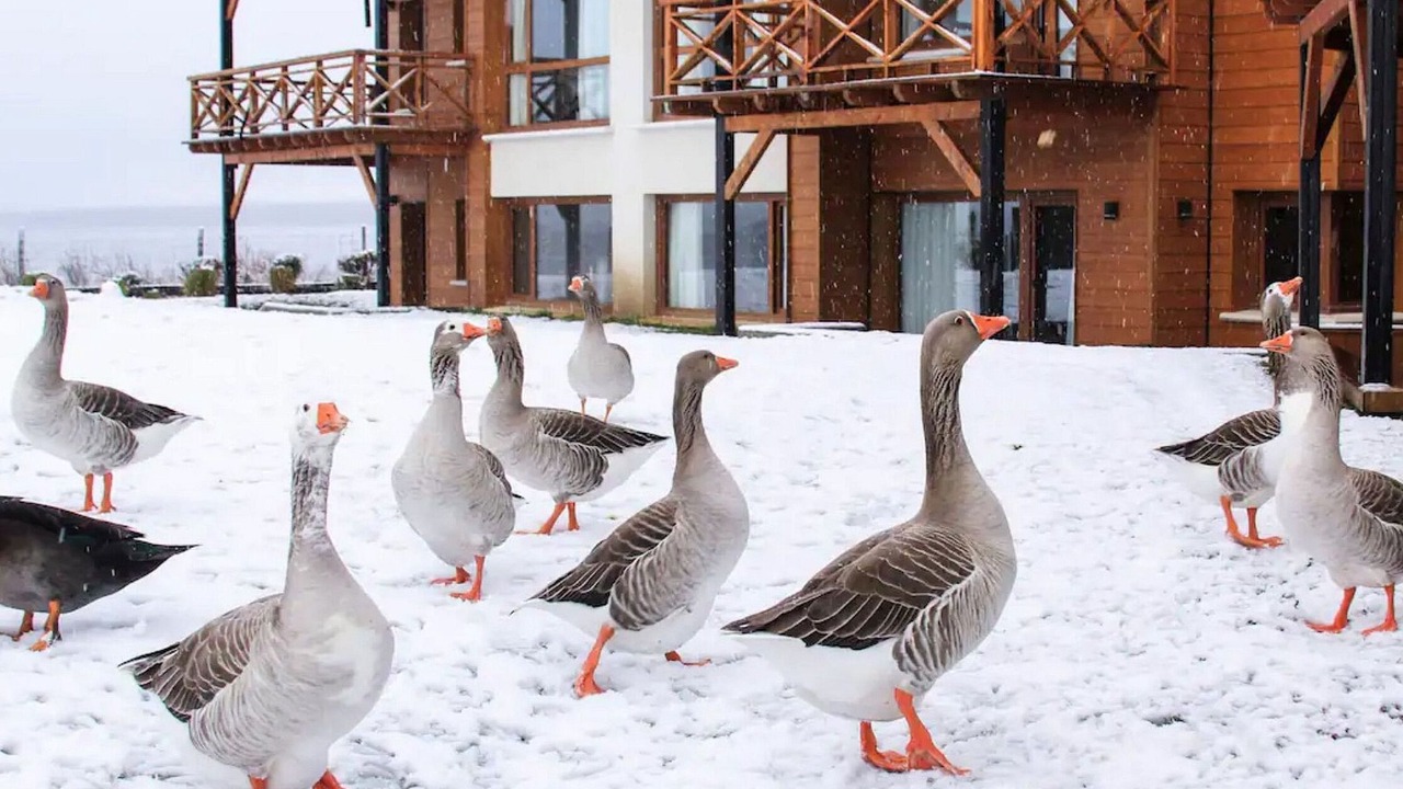 Photo of Outdoor in Dina Huapi