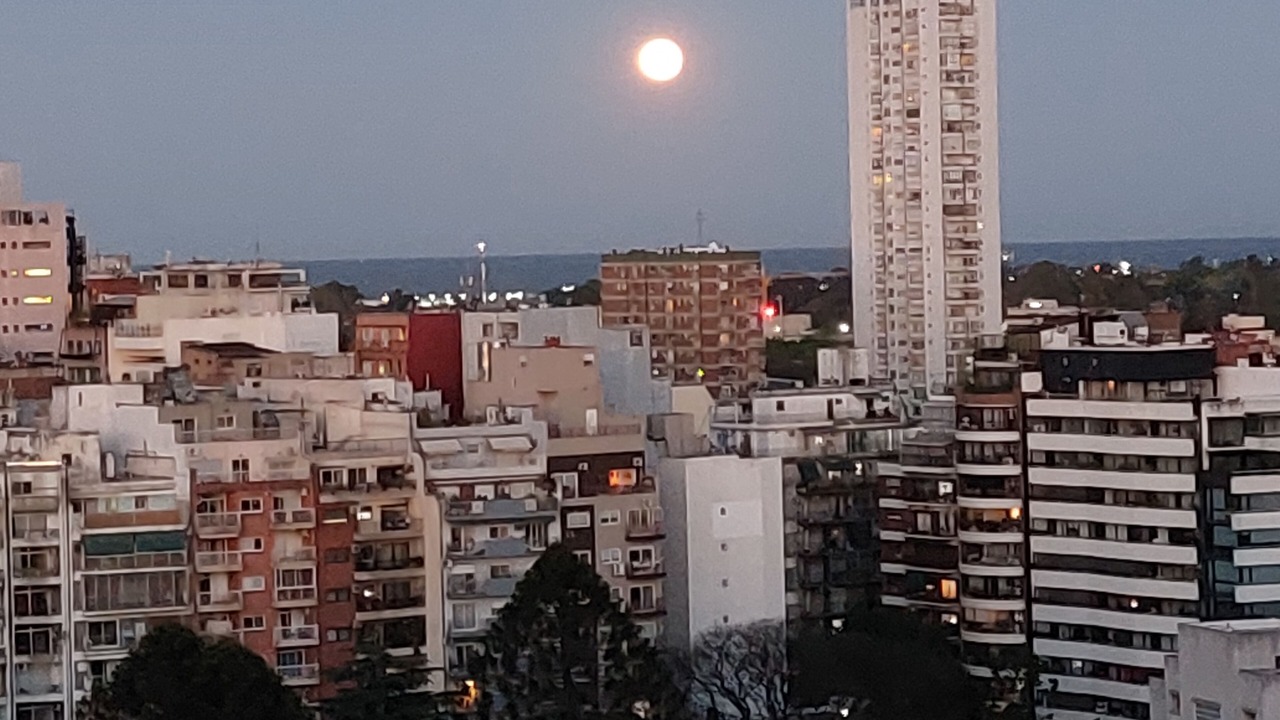 Photo of Others in Colegiales