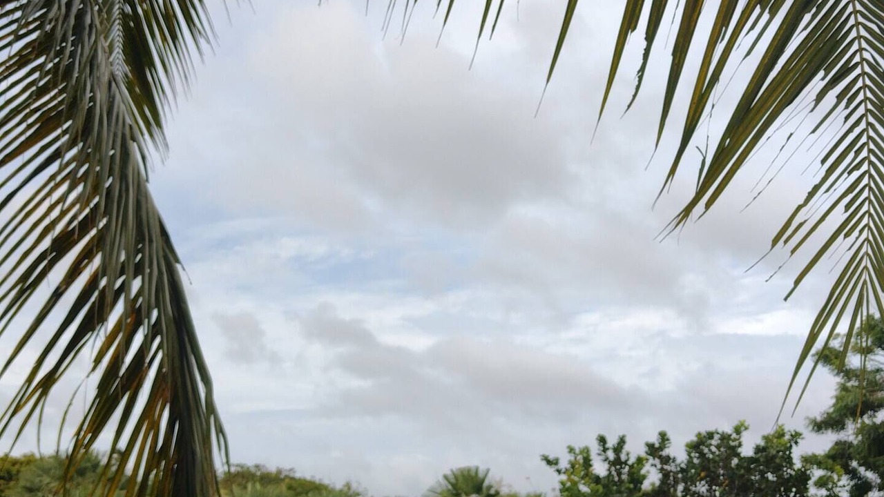 Photo of Outdoor in Tutoia
