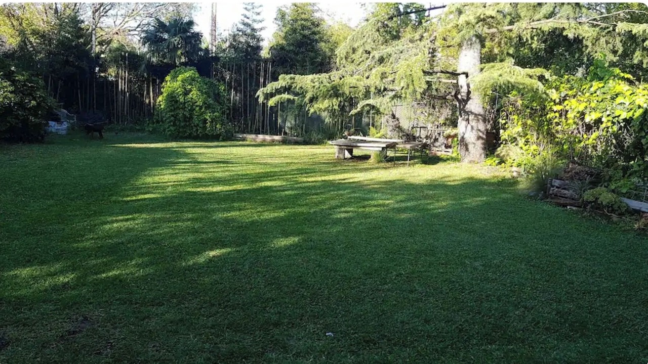 Photo of Outdoor in San Isidro