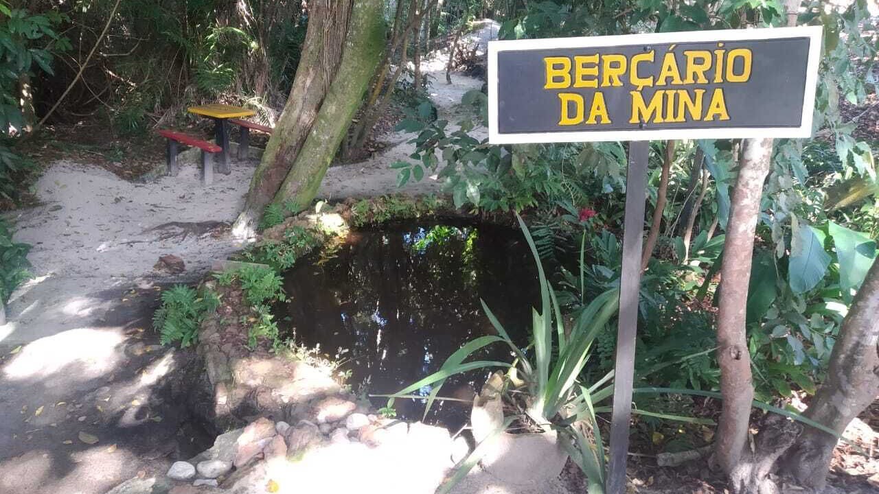 Photo of Outdoor in Prado