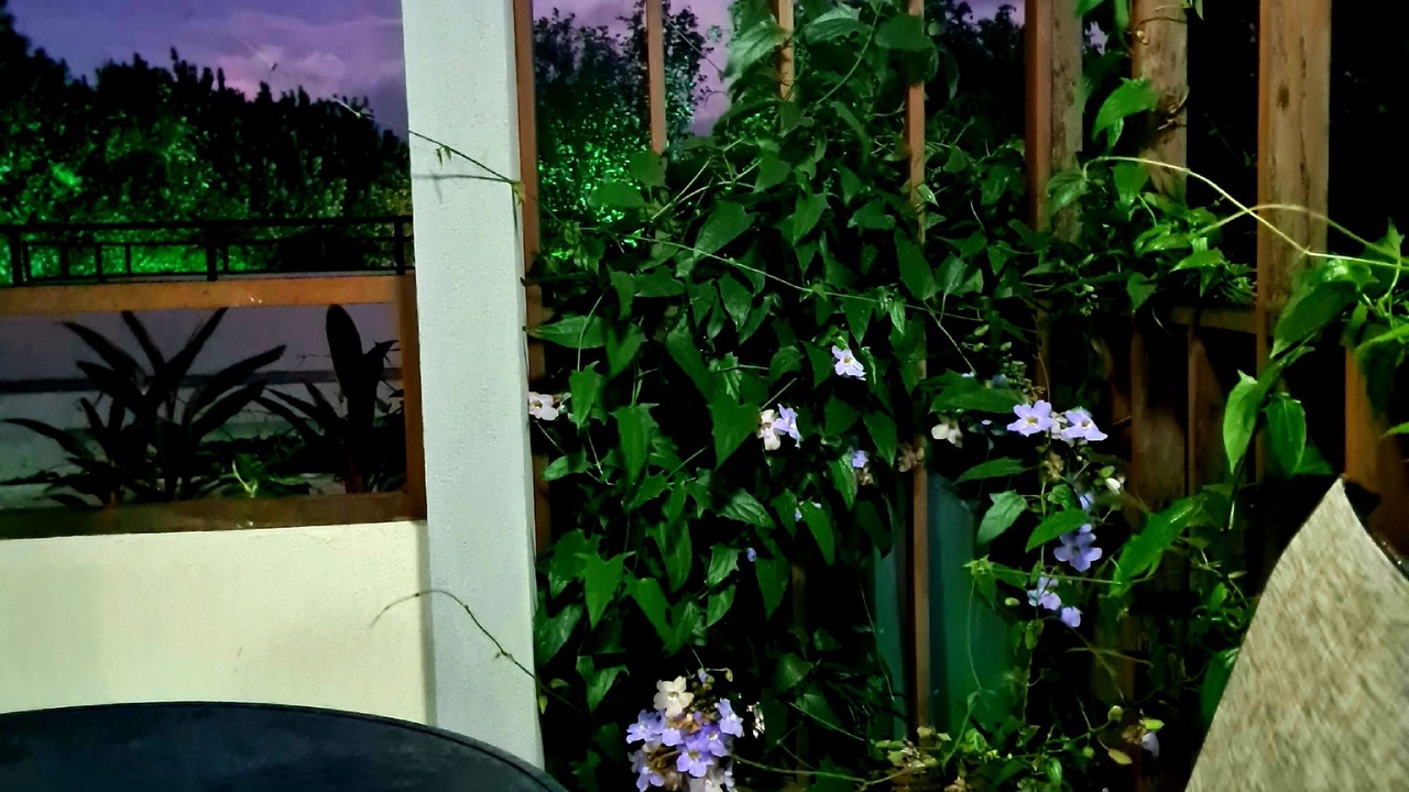 Photo of Patio Balcony in Pipa