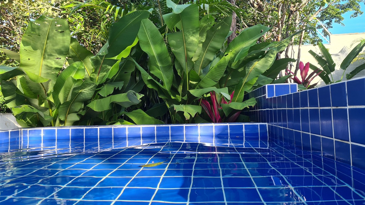 Photo of Outdoor in Pipa