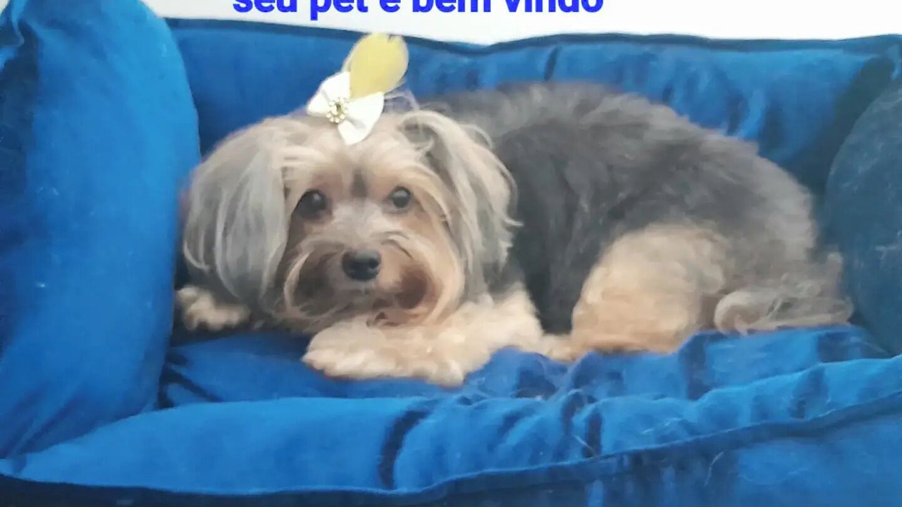 Photo of Others in Vila Assuncao