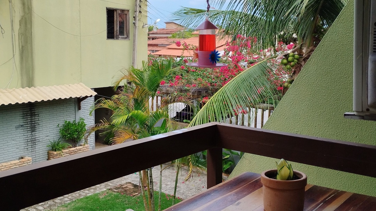 Photo of Outdoor in Marechal Deodoro
