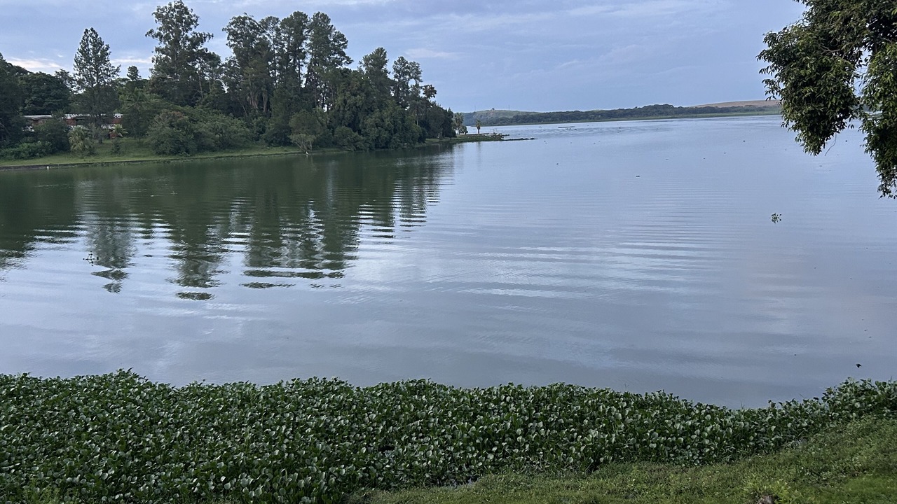 Photo of Others in Jardim Helena