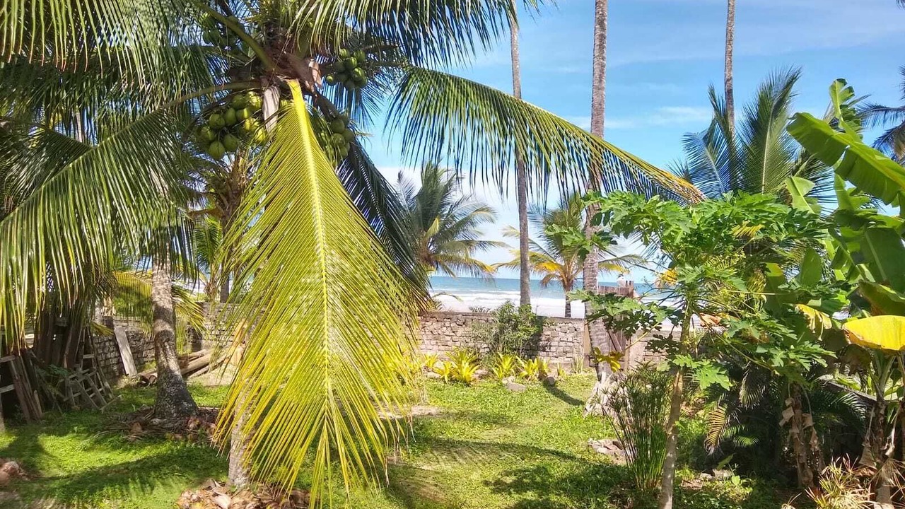Photo of Outdoor in Itacare
