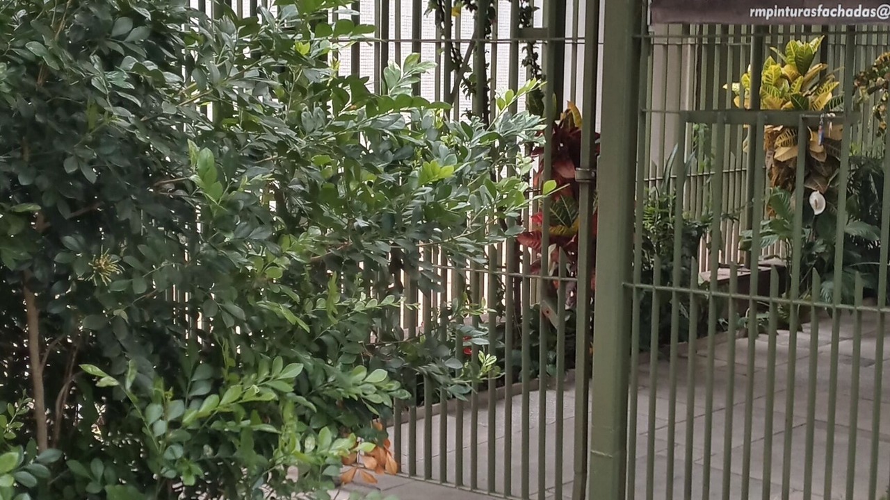 Photo of Outdoor in Consolacao