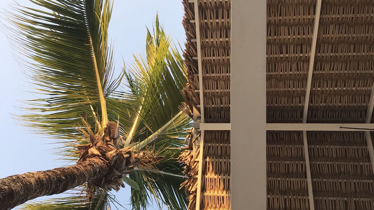 Photo of Outdoor in Atins