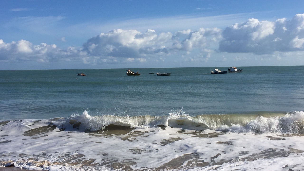 Photo of Others in Sao Miguel de Touros