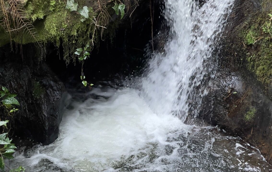 Photo of Outdoor in Interior de Sao Paulo