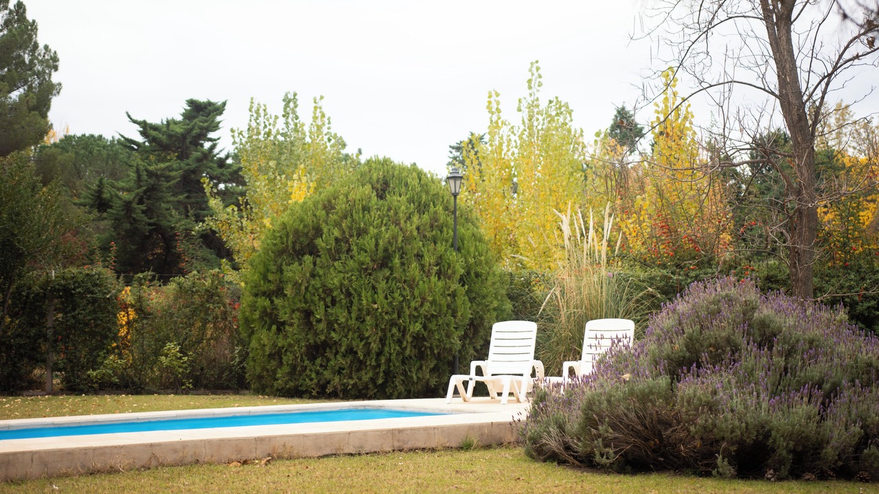 Photo of Outdoor in Vistalba