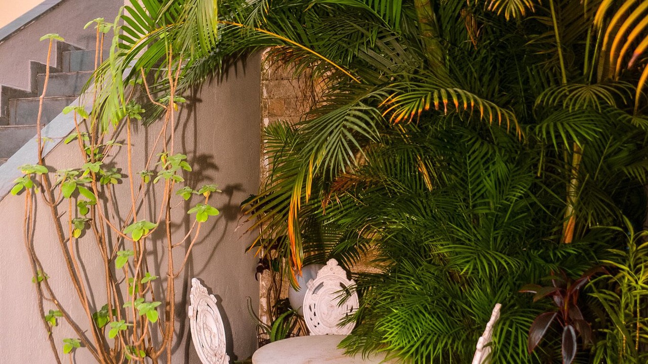 Photo of Outdoor in Sao Paulo