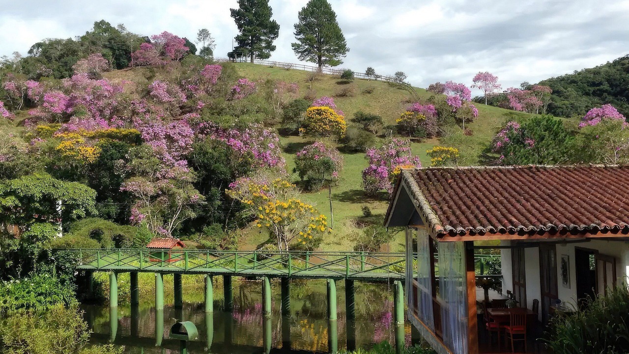 Photo of Others in Sao Paulo