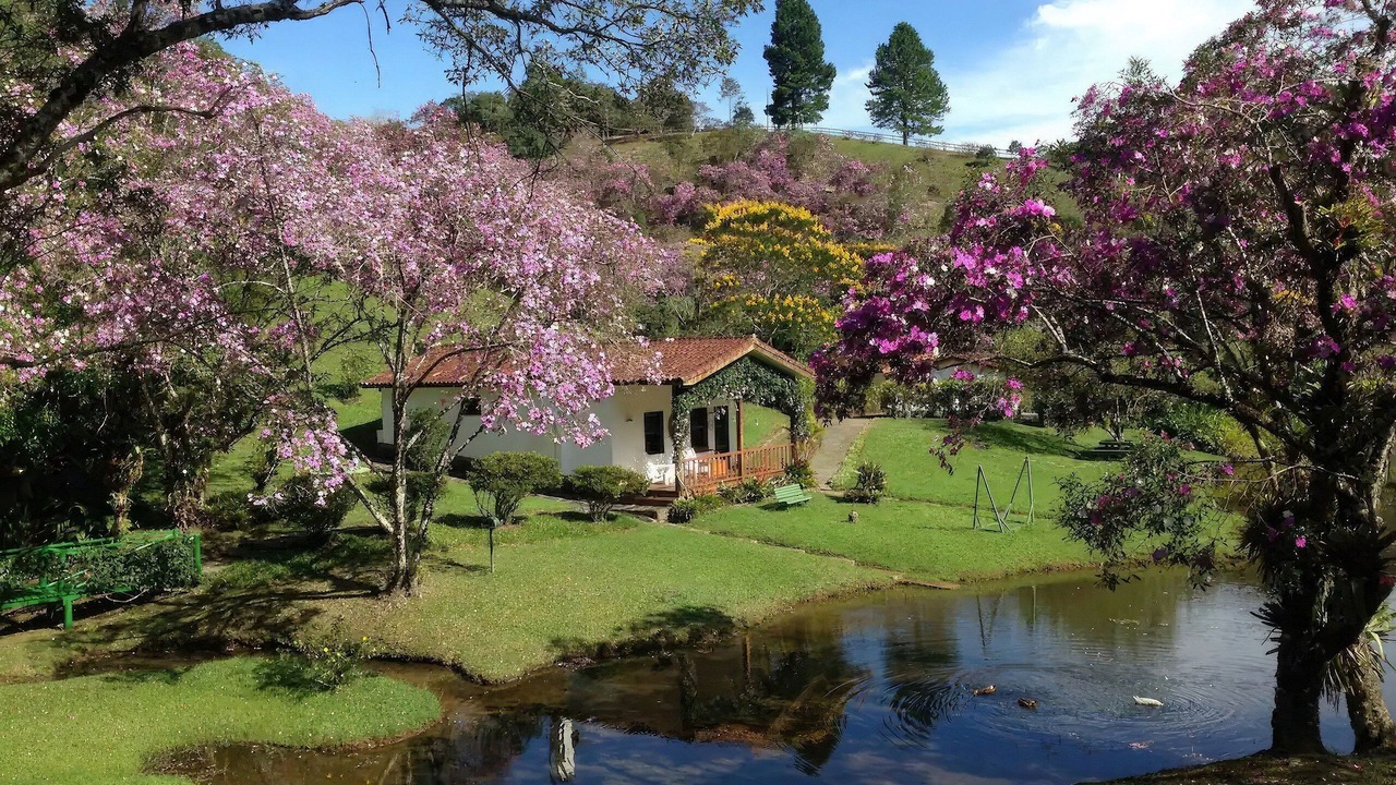 Photo of Others in Sao Paulo