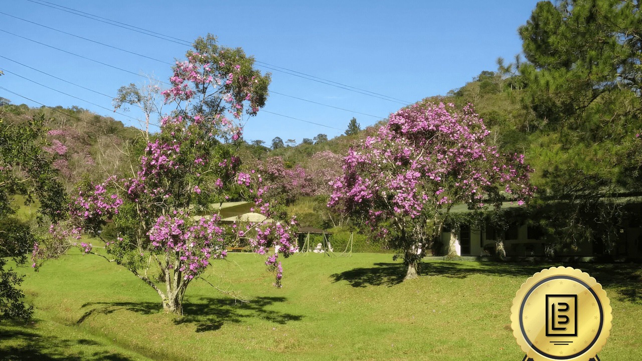 Photo of Outdoor in Sao Paulo