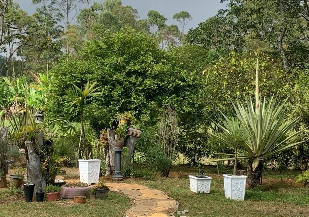 Photo of Outdoor in Suzano