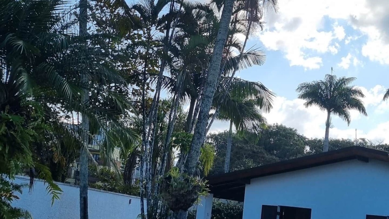 Photo of Outdoor in Tenorio