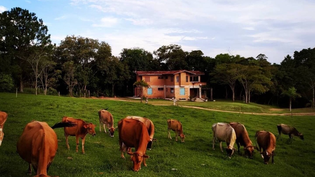 Photo of Outdoor in Ibiuna