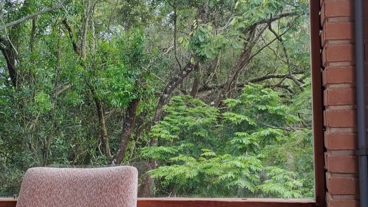 Photo of Outdoor in Ibiuna