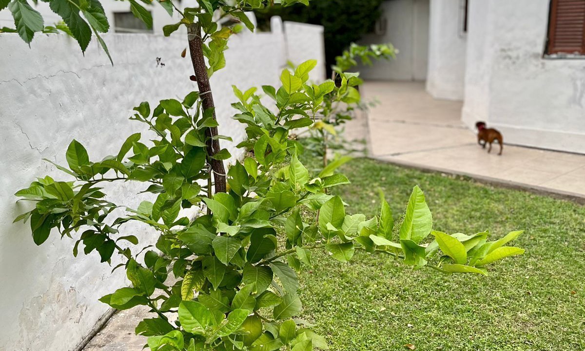 Photo of Outdoor in Termas de Rio Hondo