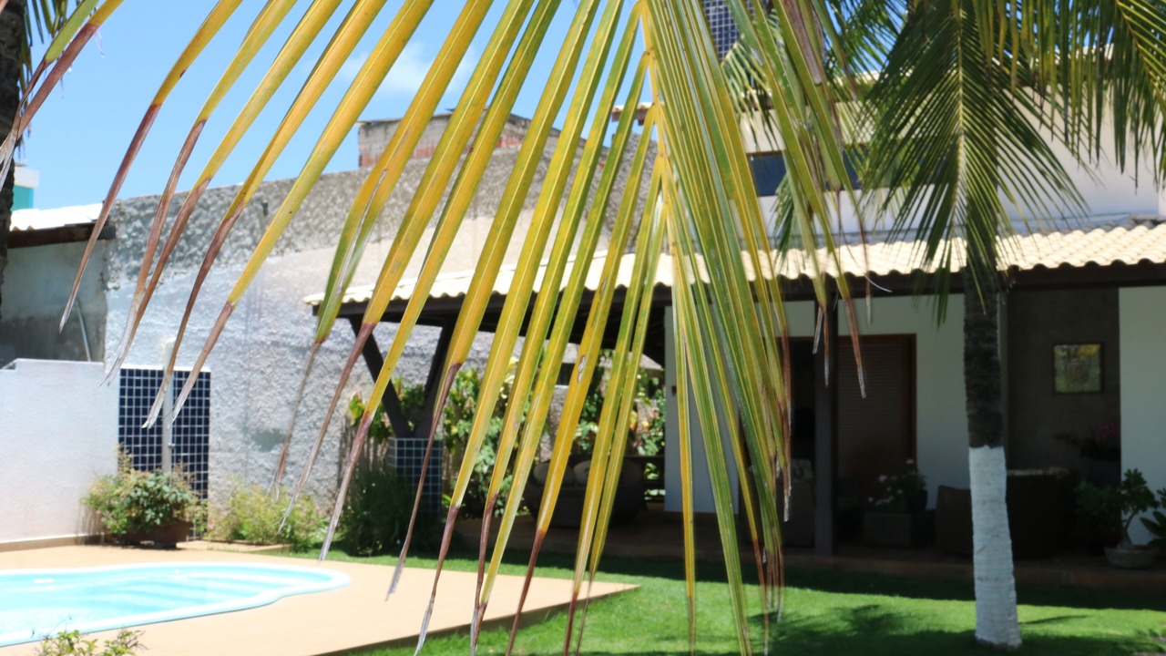 Photo of Outdoor in Itacimirim