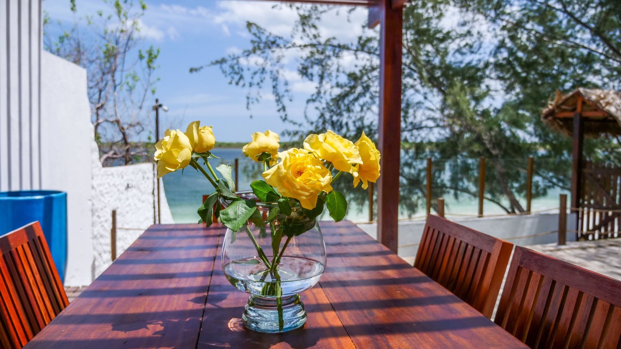 Photo of Outdoor in Caicara