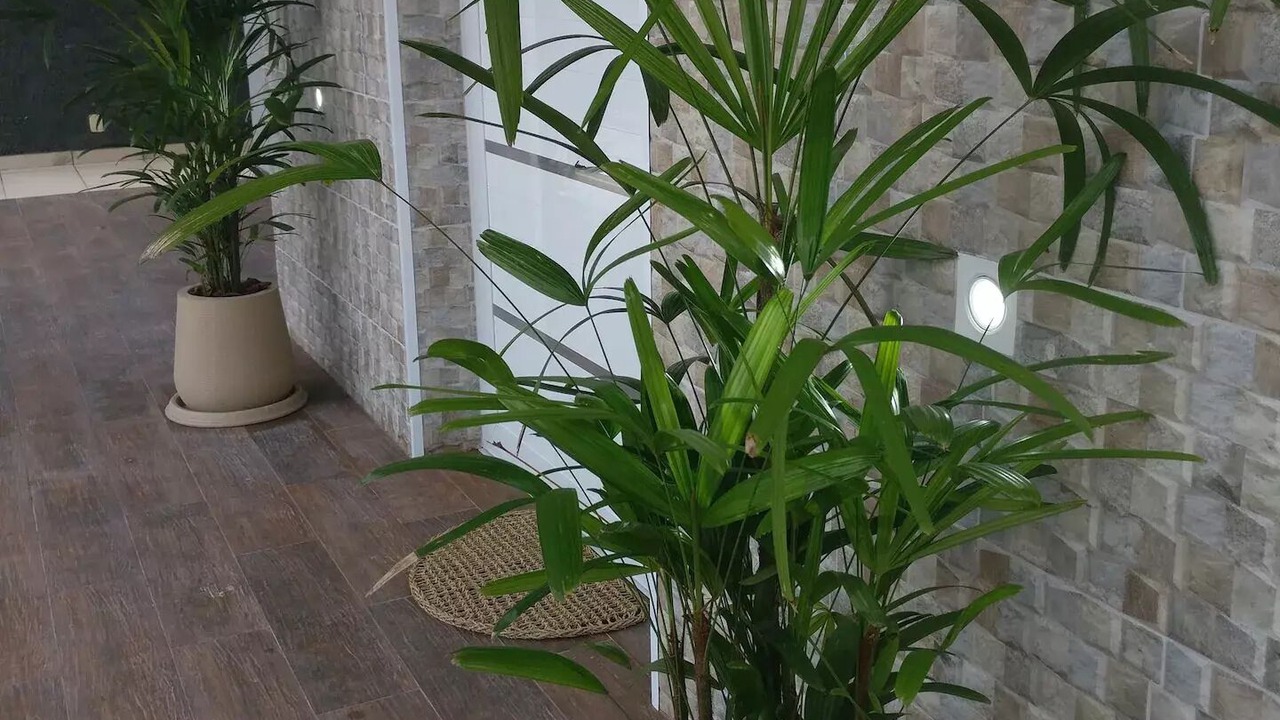 Photo of Outdoor in Sao Lourenco