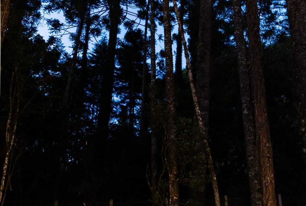 Photo of Outdoor in Parque Rancho Alegre